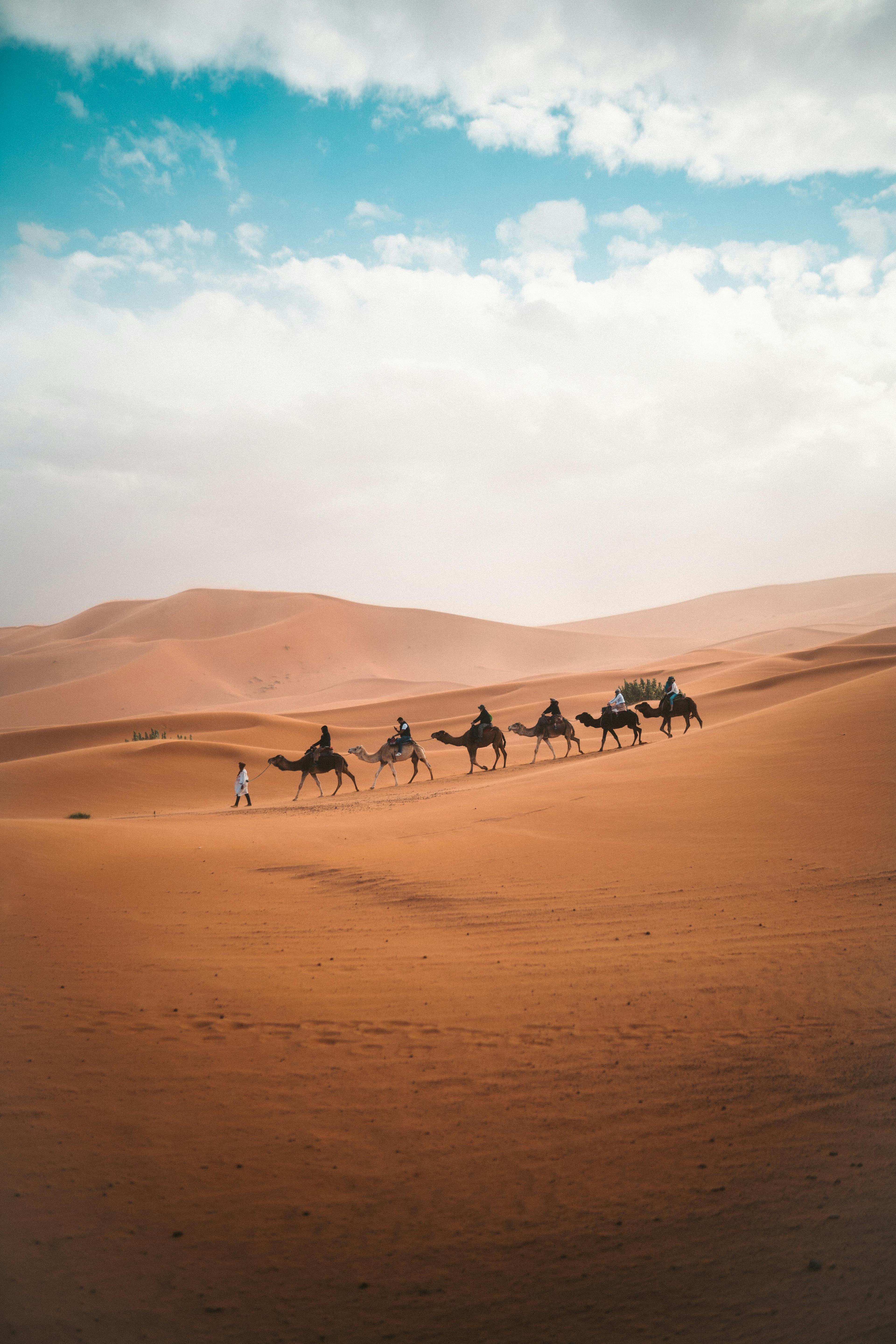 Marrakech